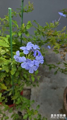 【金九银十迎双节】随手一拍记录生活