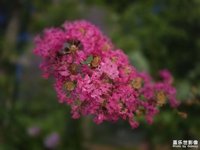 随手拍