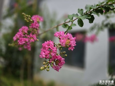 随手拍