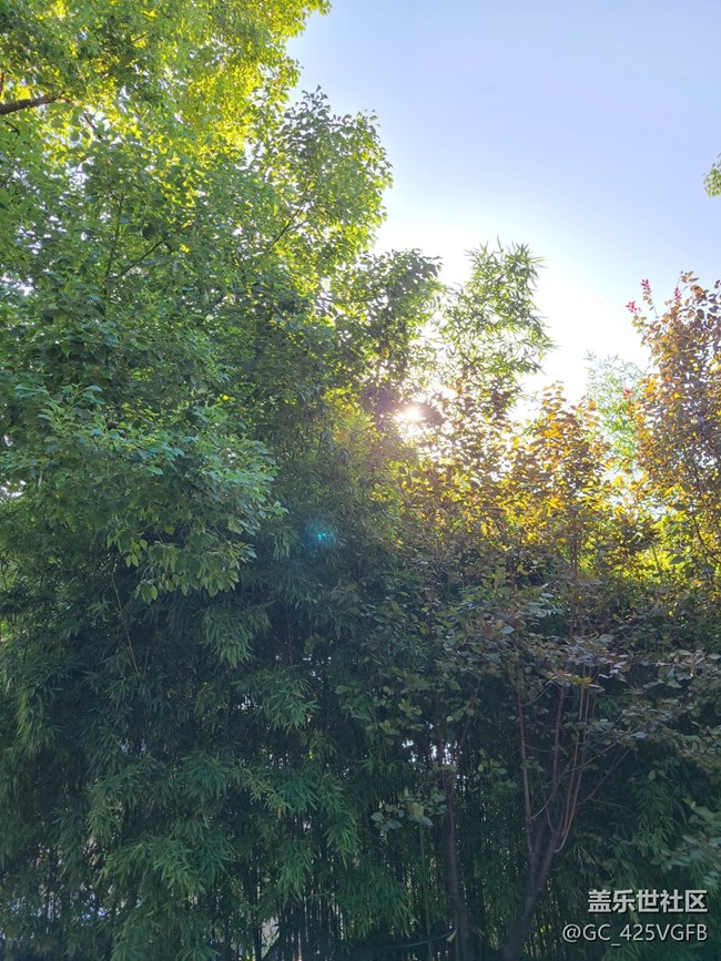 【酷爽金秋】+秋天的旋律