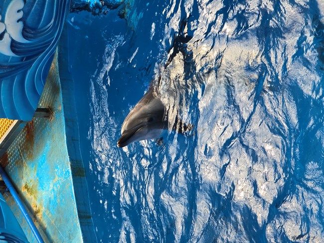 【海洋公园活动回顾帖子】1