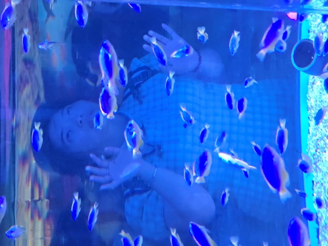 【海洋公园活动回顾帖子】1