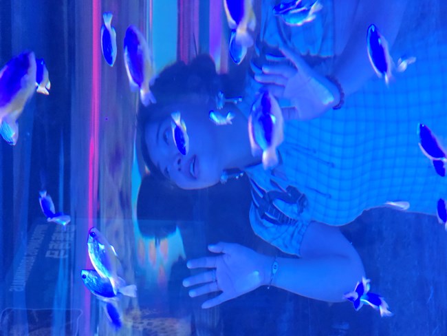 【海洋公园活动回顾帖子】1