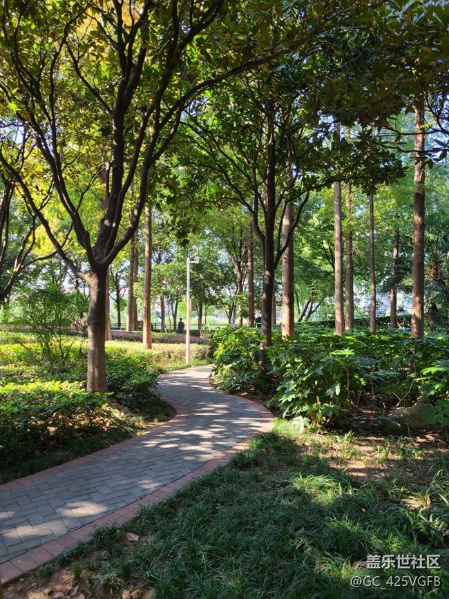 【酷爽金秋】+秋天的旋律