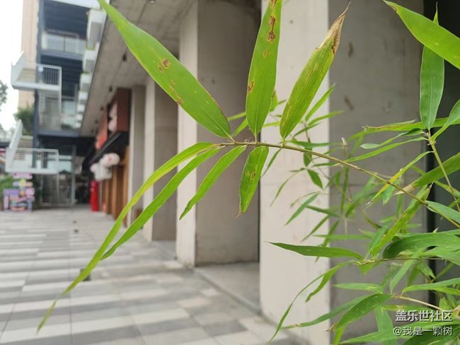 【团结新里行摄】+穿插在朝阳居民中的潮流