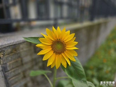 随手拍