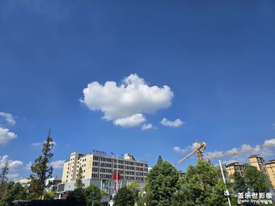 随手拍