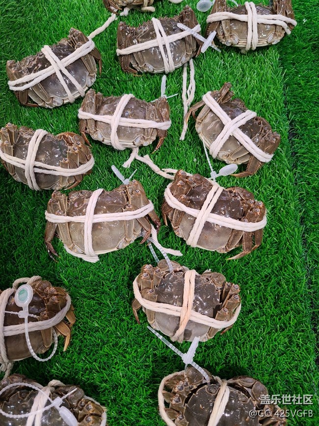 【中秋团圆，一路有AI】和三星一起过中秋