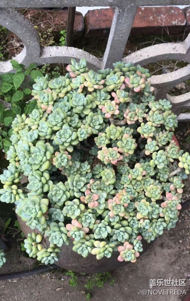 【与国同庆】“美好”的一天