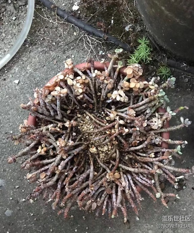 【与国同庆】“美好”的一天