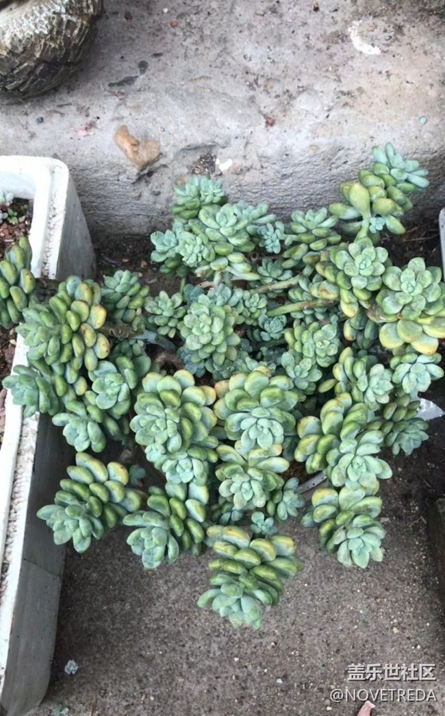 【与国同庆】“美好”的一天