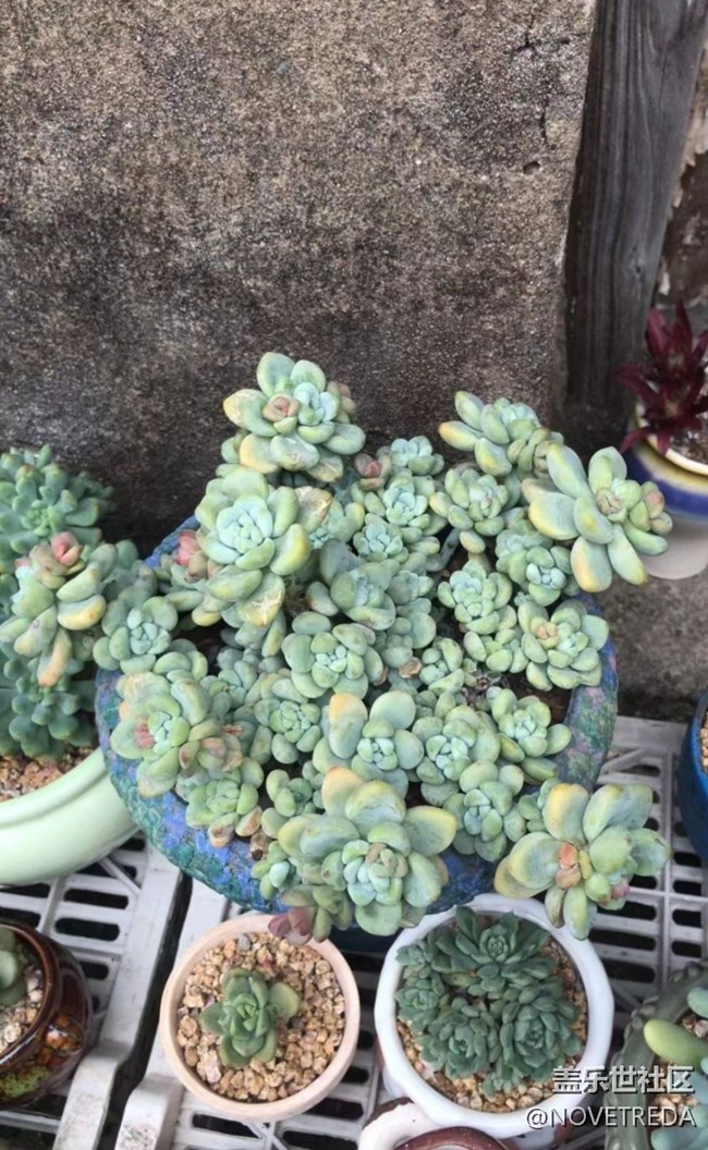 【与国同庆】“美好”的一天