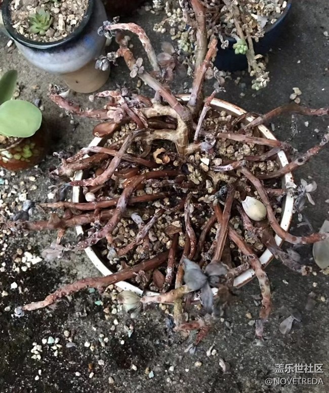 【与国同庆】“美好”的一天