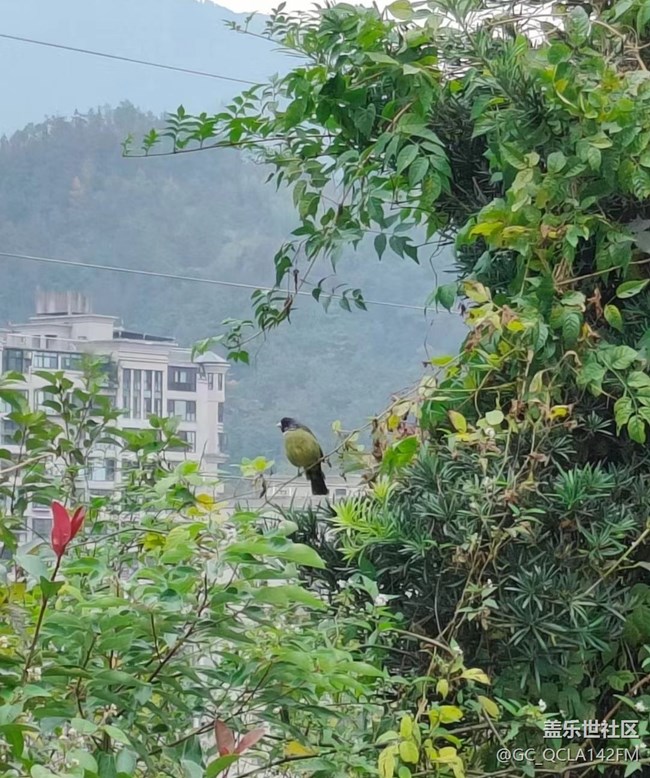 【最美秋色醉人心】处处是风景