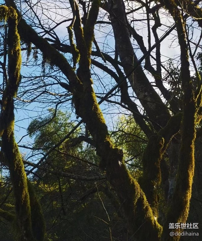 【我的十一假期】回家过节