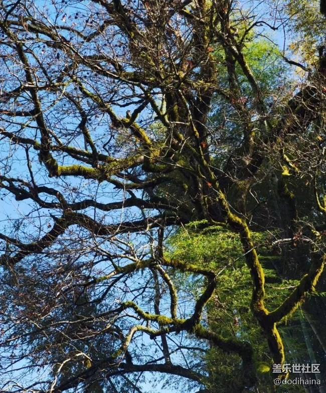 【我的十一假期】回家过节