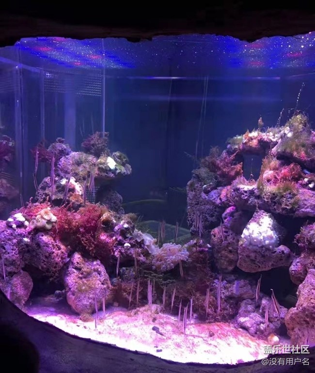 【我的十一假期】海洋馆