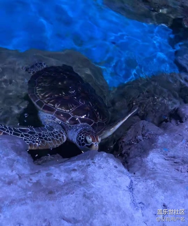 【我的十一假期】海洋馆