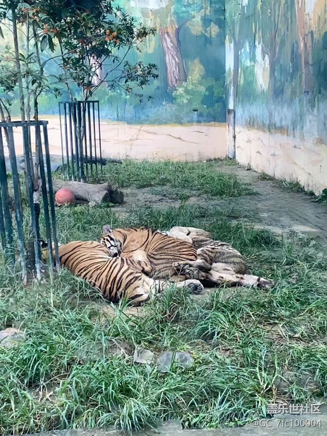 【我的十一假期】去动物园