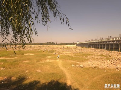 沂河