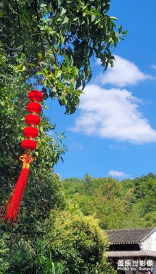 【快乐假日】+周边出游