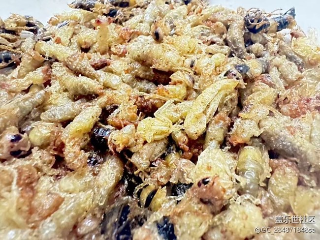 【食集蔬话】蜂蛹