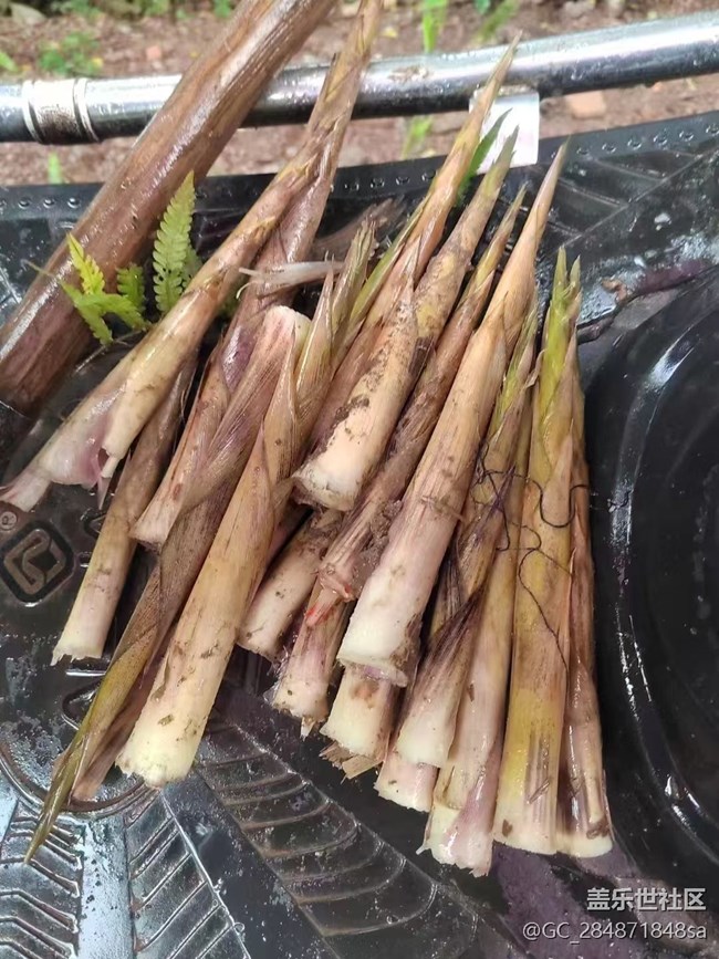 【我的十一假期】山珍野味