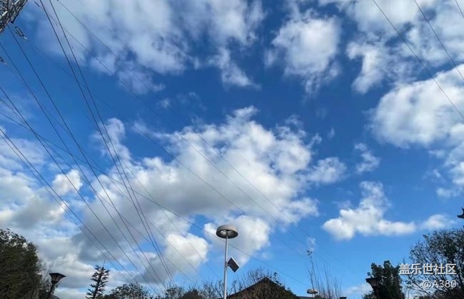 【我的十一假期】休闲时光