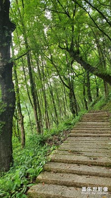 【金九银十迎双节】古道