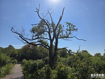 随手拍