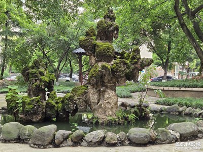 【金九银十迎双节】+生活小快乐