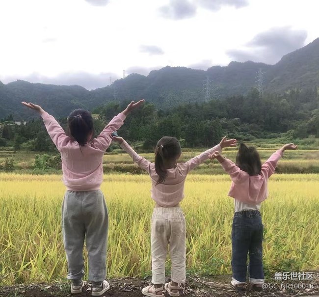 【最美秋色醉人心】秋收