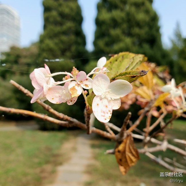 【五颜六色的秋天】自然间的多彩