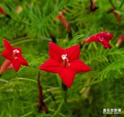 【金九银十迎双节】+秋日美好