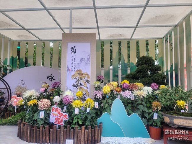 【陶然亭行摄】+国庆菊花展回顾贴