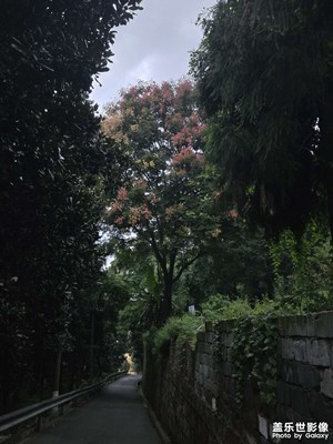 【快乐假日】+傍晚时光