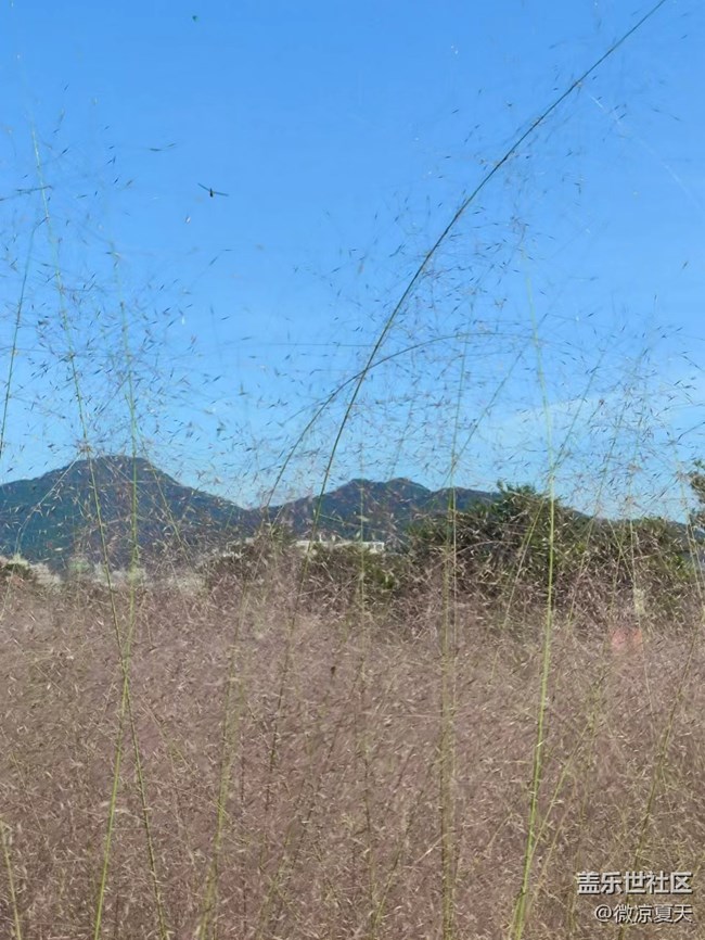 【活动回顾】深圳星部落10月2日石岩湿地公园摄影活动