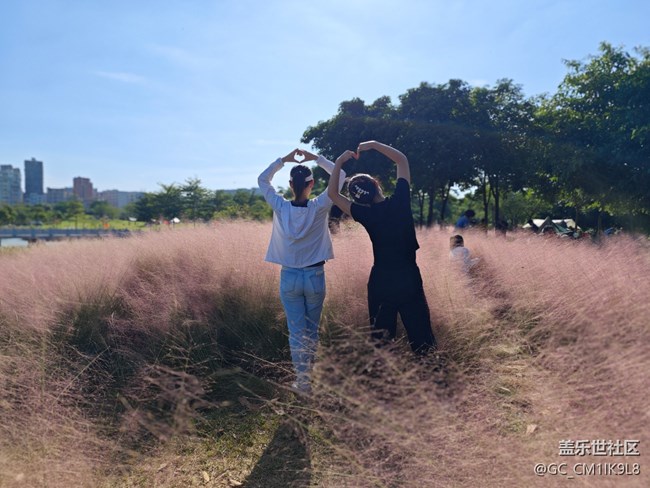 【活动回顾】深圳星部落10月2日石岩湿地公园摄影活动