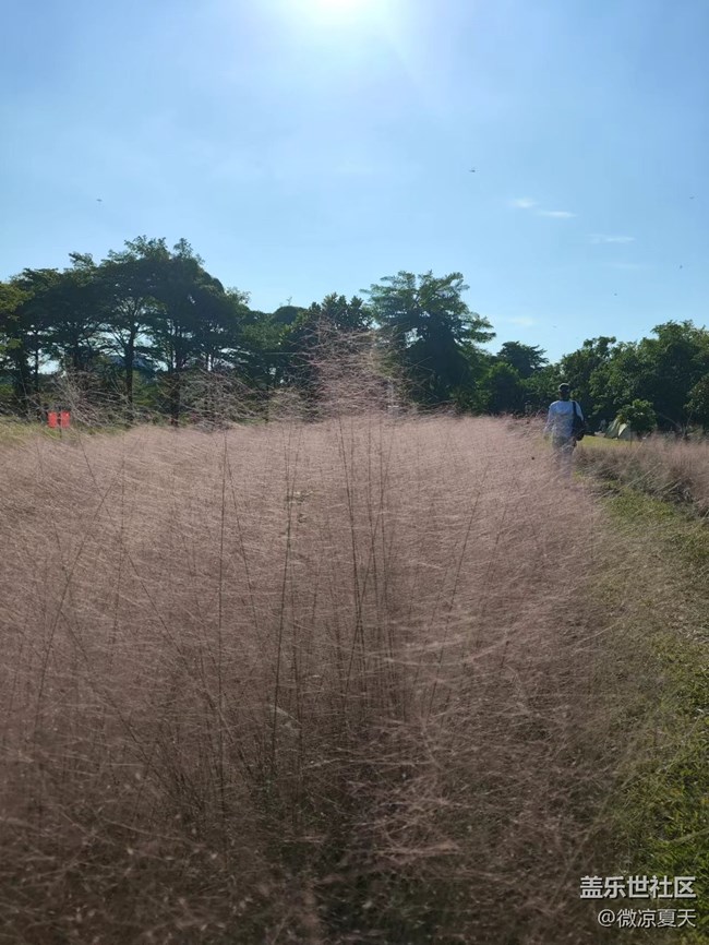 【活动回顾】深圳星部落10月2日石岩湿地公园摄影活动