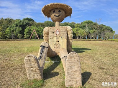 随手拍