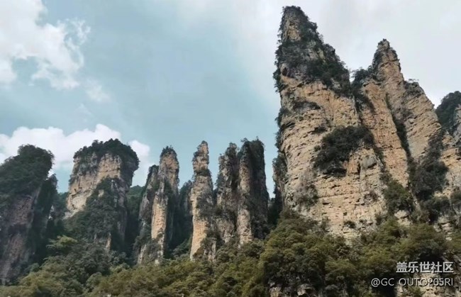 【最美秋色醉人心】张家界森林公园