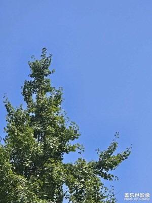 【金九银十迎双节】+秋日晴天