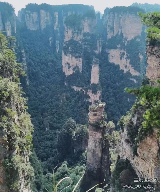【最美秋色醉人心】张家界森林公园