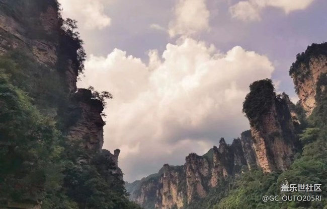 【最美秋色醉人心】张家界森林公园