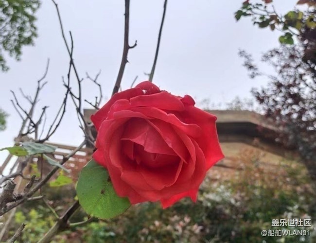 【与国同庆】秋天