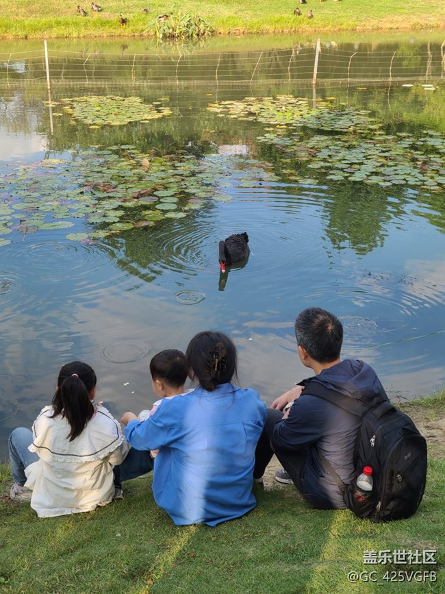 【我的十一假期】+快乐假期