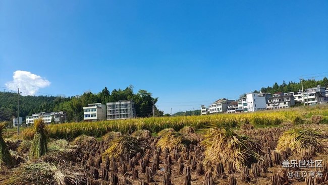 【家乡风情】秋收了