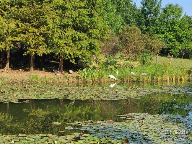 【我的十一假期】+快乐假期