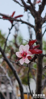 【金秋时节】+秋色连波