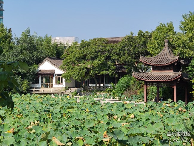 【秋色斑斓】秋色